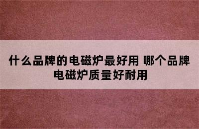 什么品牌的电磁炉最好用 哪个品牌电磁炉质量好耐用